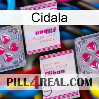 Cidala 33